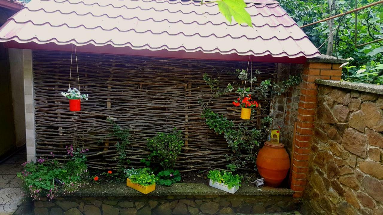 Green House In Batumi Exteriör bild